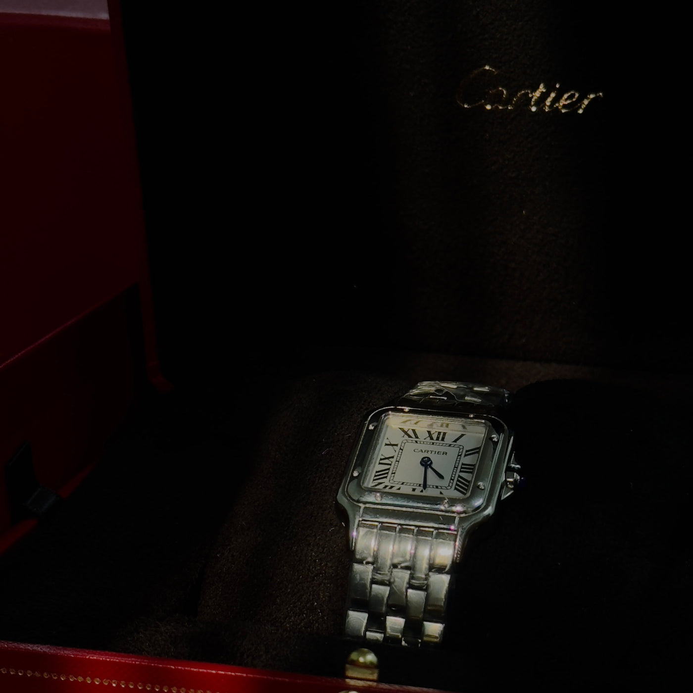 Cartier panthere
